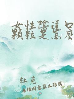 女性阴道口长小颗粒是怎么回事