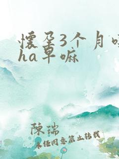 怀孕3个月吃dha早嘛