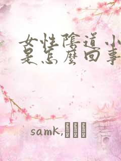 女性阴道小疙瘩是怎么回事