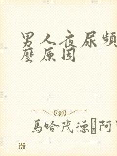 男人夜尿频多什么原因