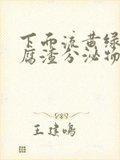 下面流黄绿色豆腐渣分泌物