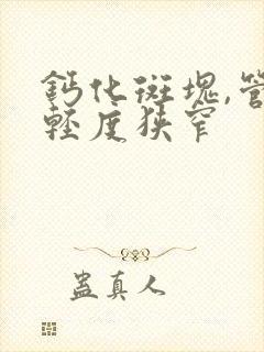 钙化斑块,管腔轻度狭窄