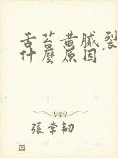 舌苔黄腻裂痕是什么原因