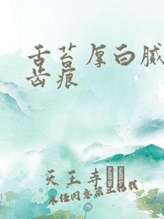 舌苔厚白腻 有齿痕