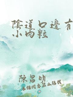 阴道口边有白色小肉粒