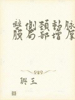 双侧颈动脉内中膜局部增厚伴斑块怎么办