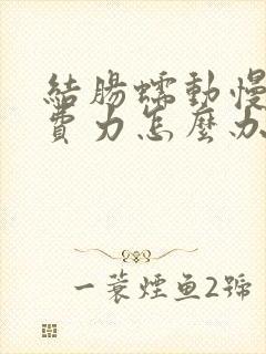 结肠蠕动慢排便费力怎么办