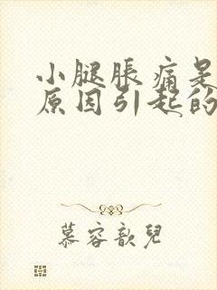 小腿胀痛是什么原因引起的