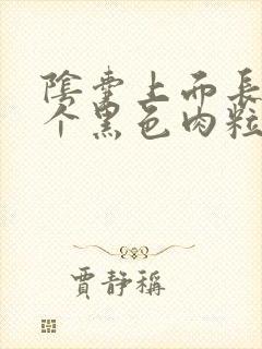 阴囊上面长了一个黑色肉粒