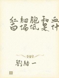 红细胞和血红蛋白偏低是什么症状