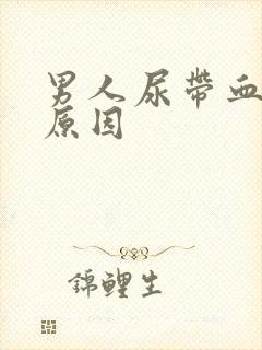 男人尿带血什么原因