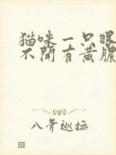 猫咪一只眼睛睁不开有黄脓状眼屎