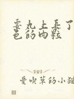 睾丸上长了个白色的肉粒