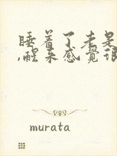 睡着了老是做梦,醒来感觉很累