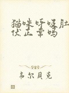 猫咪呼吸肚子起伏正常吗