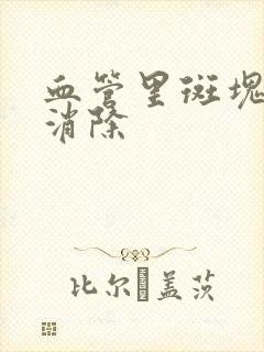 血管里斑块如何消除