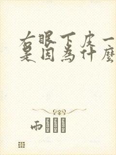 右眼下皮一直跳是因为什么原因引起的