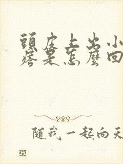 头皮上出小红疙瘩是怎么回事