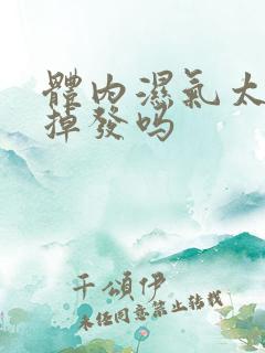 体内湿气太重会掉发吗