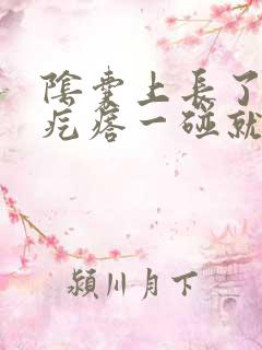 阴囊上长了小红疙瘩一碰就疼