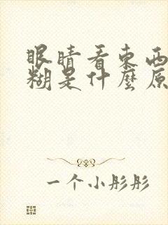 眼睛看东西很模糊是什么原因