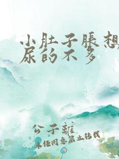 小肚子胀想尿却尿的不多