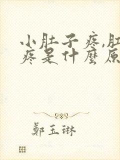 小肚子疼,肛门疼是什么原因引起的