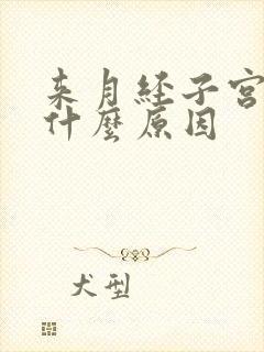 来月经子宫疼是什么原因