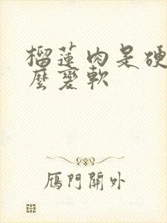 榴莲肉是硬的怎么变软