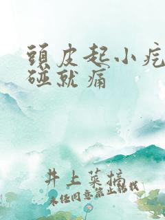 头皮起小疙瘩一碰就痛