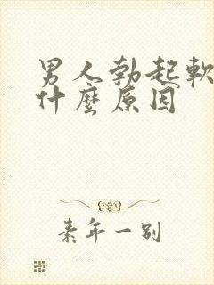 男人勃起软的快什么原因