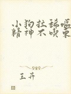 小狗拉稀呕吐没精神不吃东西