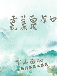 舌苔白厚口苦口气原因