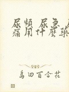 尿频 尿急 尿痛用什么药