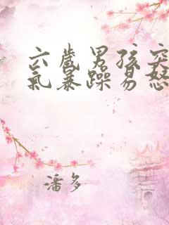 六岁男孩突然脾气暴躁易怒