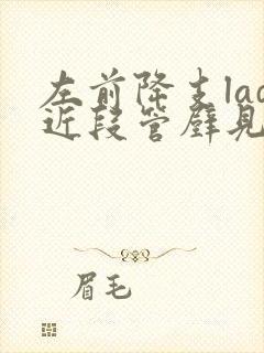 左前降支lad近段管壁见非钙化斑块