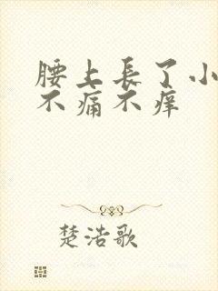 腰上长了小疙瘩不痛不痒