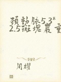 颈动脉5.3*2.5斑块严重吗