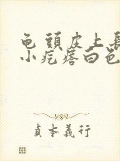 龟 头皮上长了小疙瘩白色