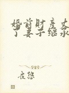 婚前财产丈夫死了妻子继承权吗