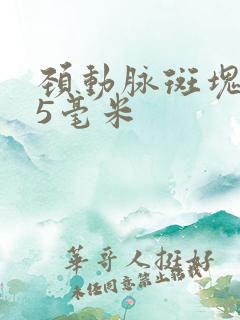 颈动脉斑块1.5毫米