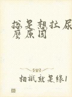 总是想拉尿是什么原因