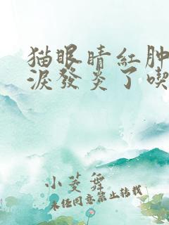 猫眼睛红肿流眼泪发炎了吃什么药