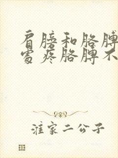 肩膀和胳膊连接处疼胳膊不敢抬