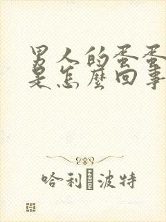 男人的蛋蛋肿疼是怎么回事