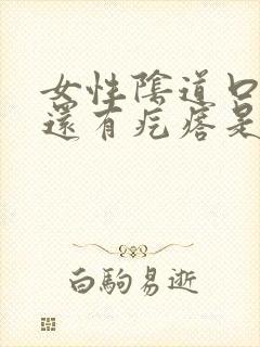 女性阴道口痒痒还有疙瘩是怎么回事