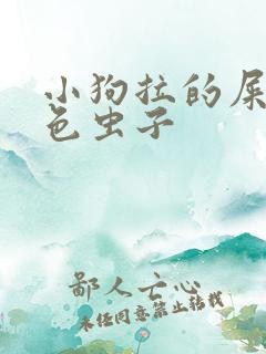 小狗拉的屎有白色虫子