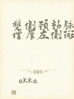 双侧颈动脉内膜增厚左侧斑块形成