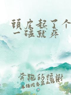 头皮起了个疙瘩一碰就疼