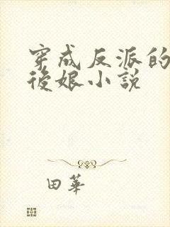 穿成反派的恶毒后娘小说